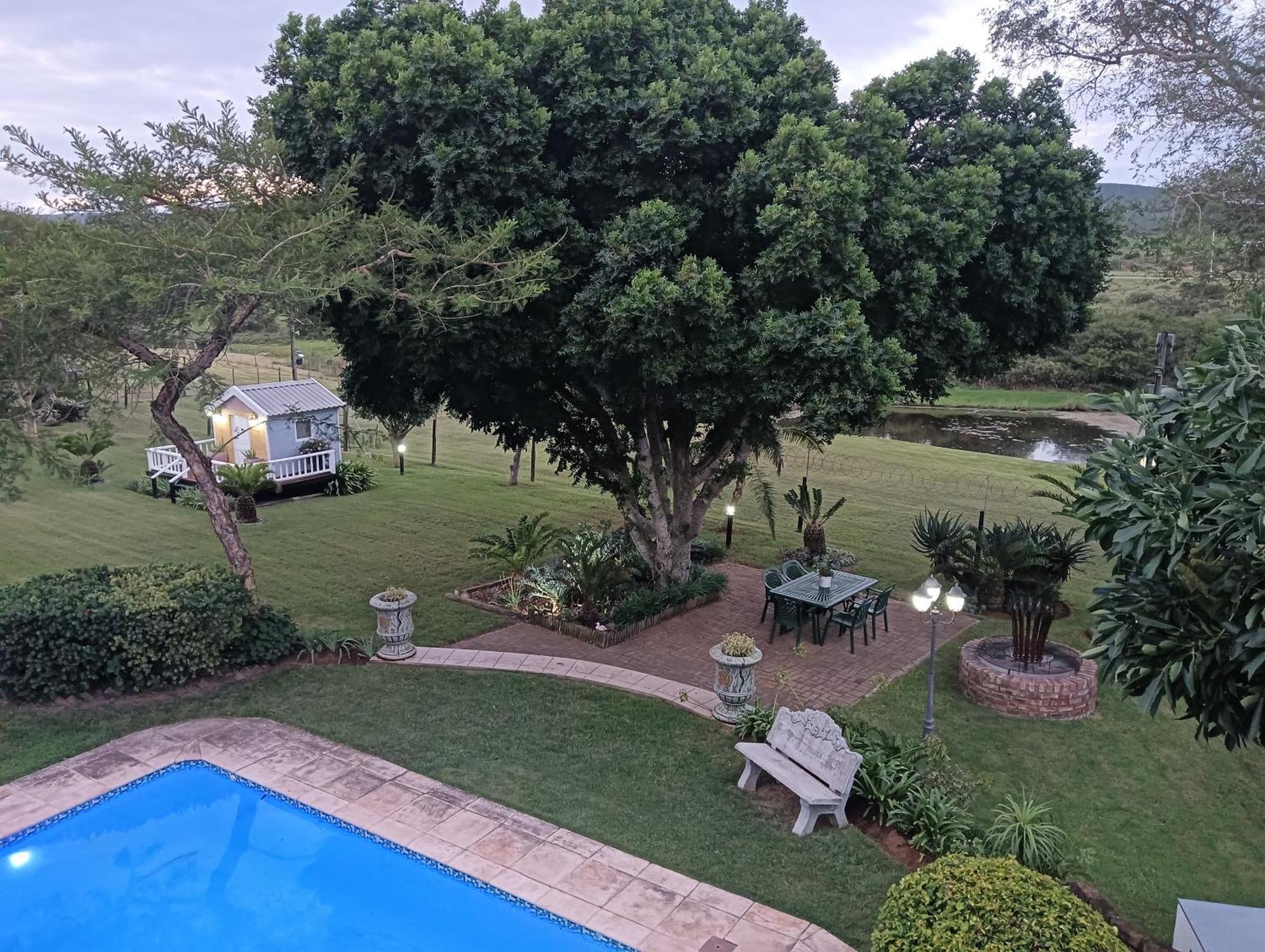 Bed and Breakfast Little Tree Loft 2 Uitenhage Exterior foto